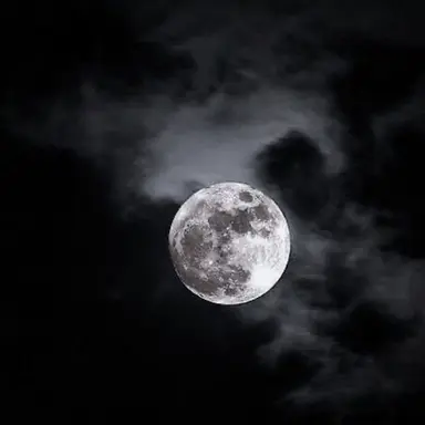 Profile image of 우융