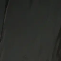 Profile image of 貴族