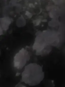 uyutyan.1020의 マフィア同士の戦い＿＿