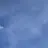카여 미새우