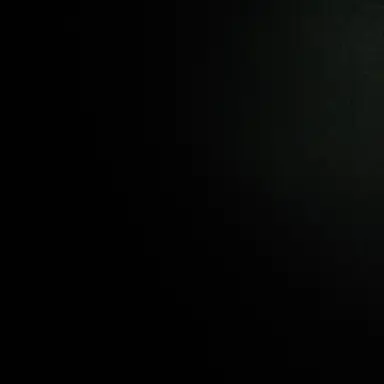 Profile image of 양사위