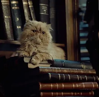 Profile image of Hermione