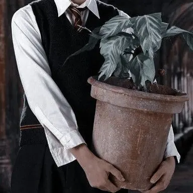 Profile image of Neville