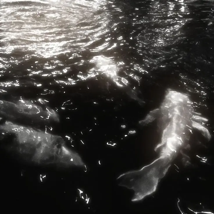 nemuri_nemui의 貴方を失うのが恐ろしい