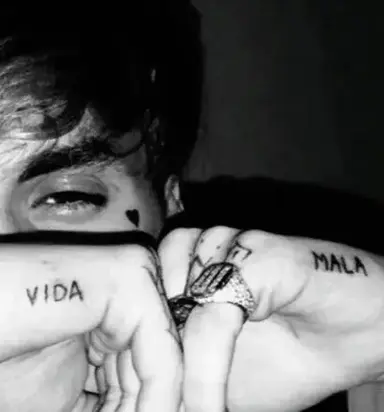 Profile image of Tomás