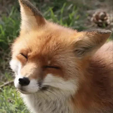 Profile image of 담임