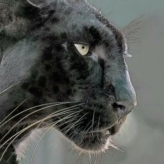 ShyChair2934의 0よりも低いとこから君を振り向かせたい