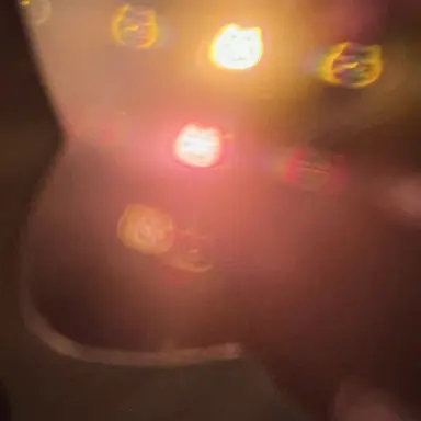 Profile image of 川﨑皇輝