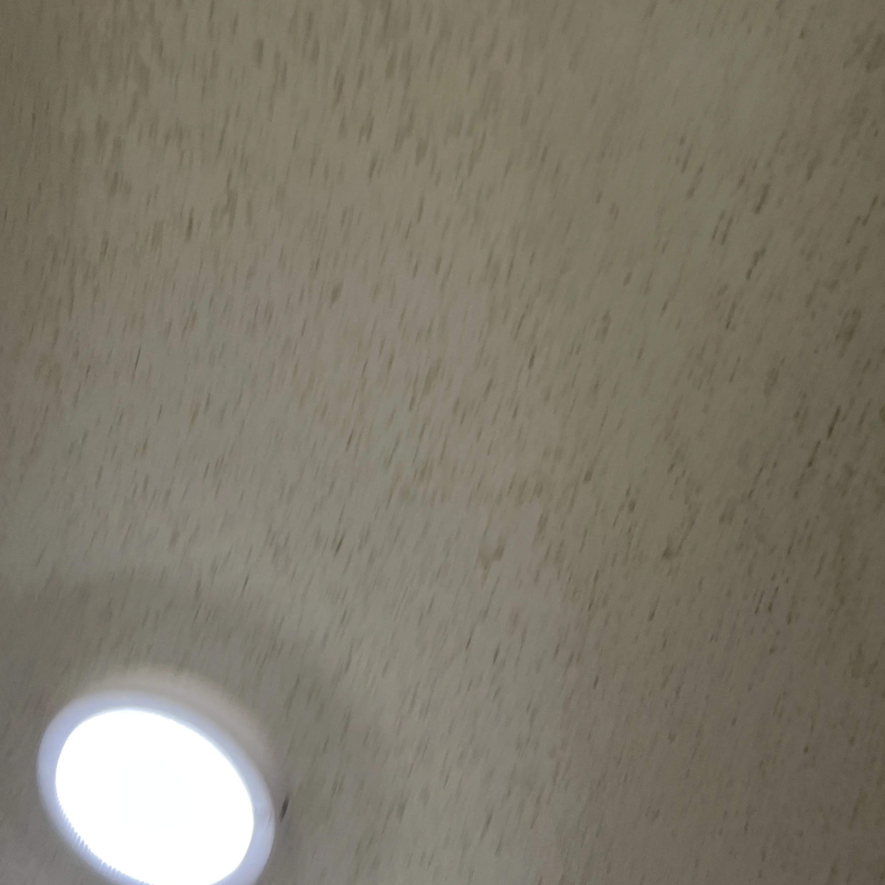 AntsyKiwi2202의 남녀무리