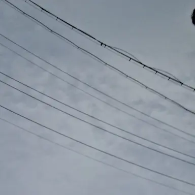 Profile image of 여희우