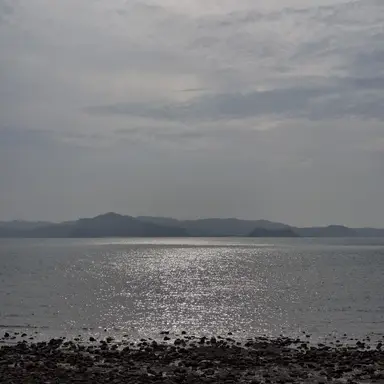 Profile image of 황수현