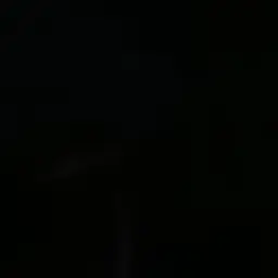 VocalPiano1647의 이상한?만남