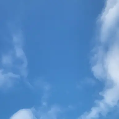 Profile image of 진행자