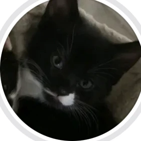 테오