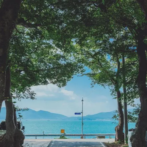 ScenicPath6021의 키타데라 우와
