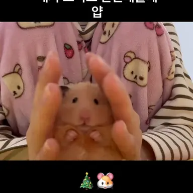 Profile image of 오권태