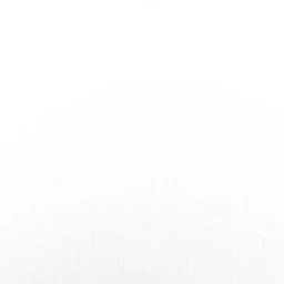 드래곤 남매