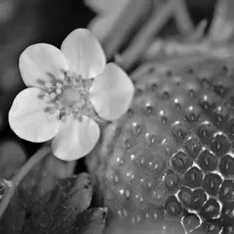 CreamyWell1430의 박성화