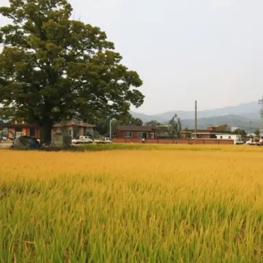 Profile image of 김대욱