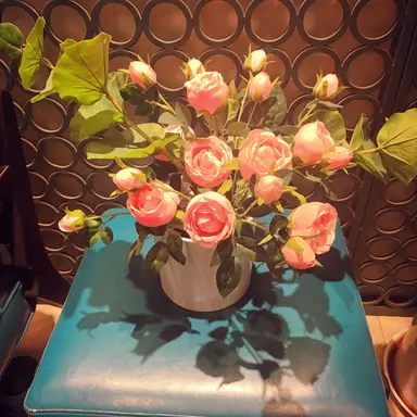 Profile image of 윤주원