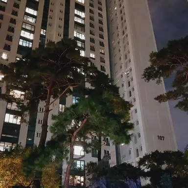 Profile image of 박 달