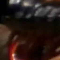 Profile image of ベルゼブブ