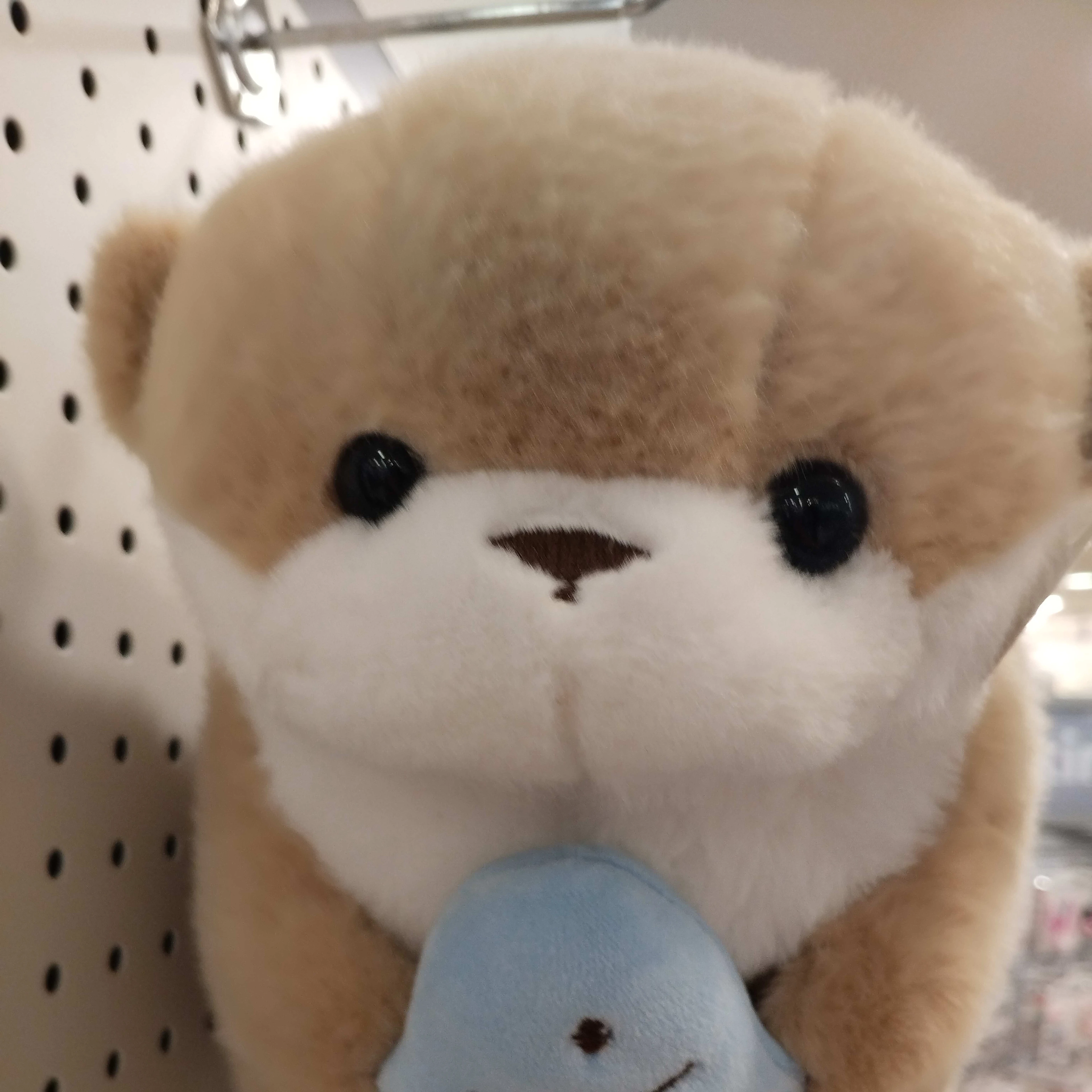 케데헌 바이러스