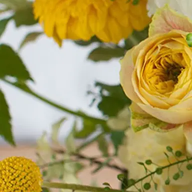 Profile image of 直哉