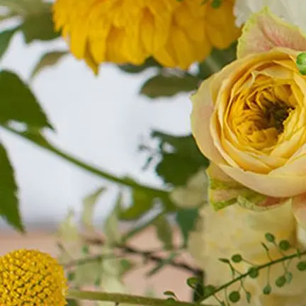 LUV_ME_708의 生きてたんだ(生存if)