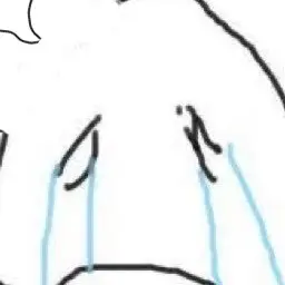 _keanyang의 김개냥