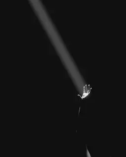 Profile image of 비비안 위고