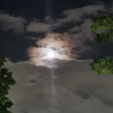 Profile image of 잭