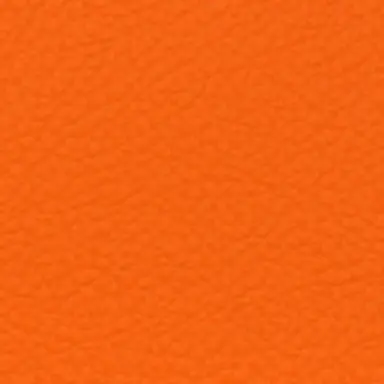 Profile image of 向井康二