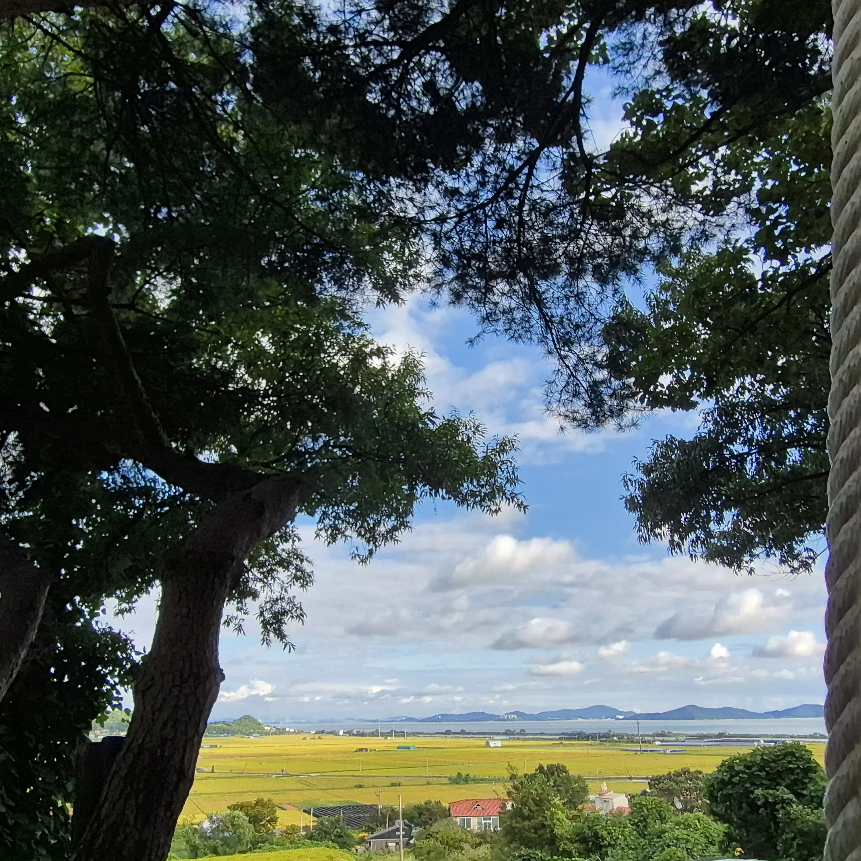 BaldRamp8823의 주토피아2