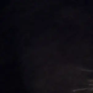 Profile image of 주인님