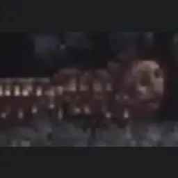 Profile image of 인면지네