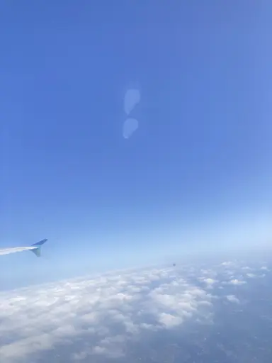 Profile image of 투컷