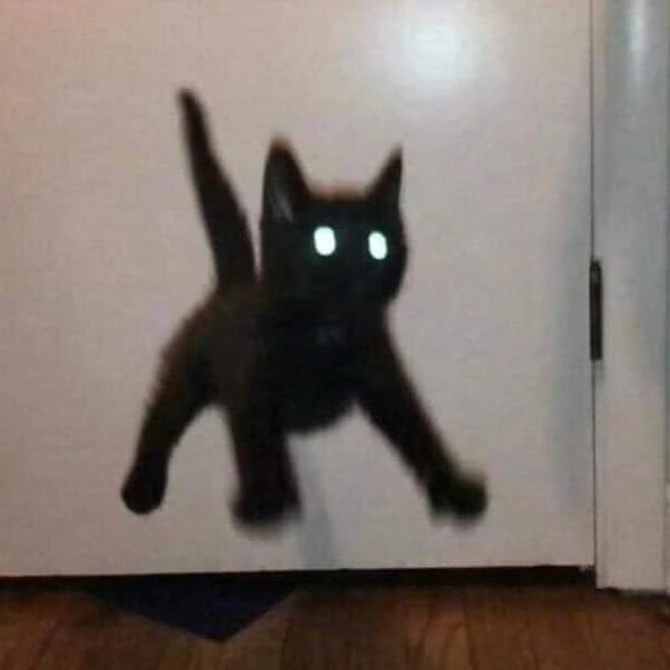 한 랑