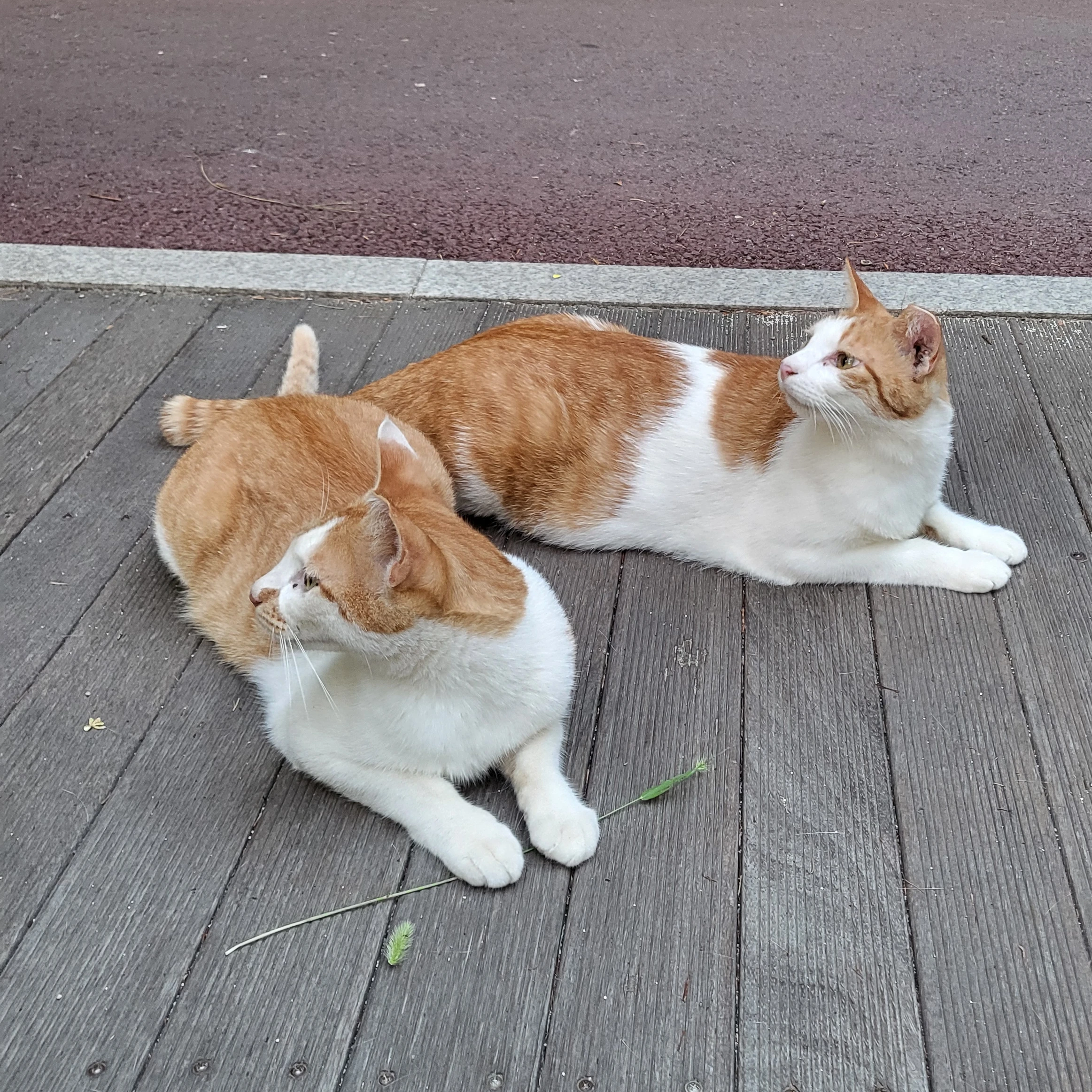 각별