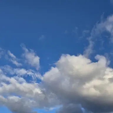 Profile image of 홍루