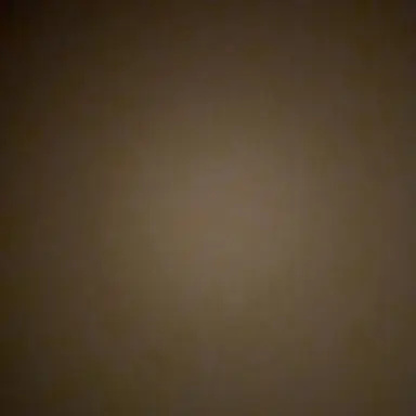 Profile image of 라더