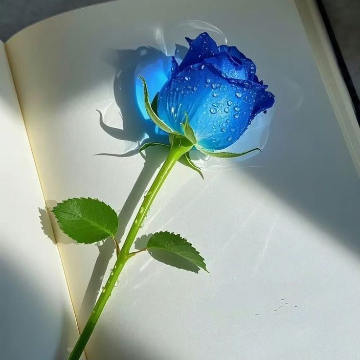 요리학원 등록한 미수반 대표 이미지