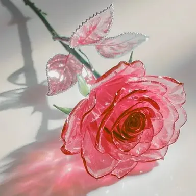 Profile image of 서라더