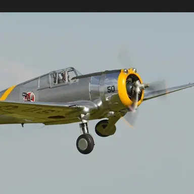 Profile image of P-36