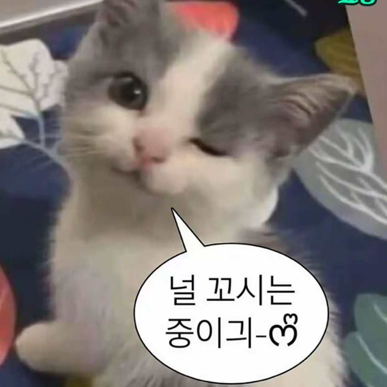 ClearStone6144의 최연준