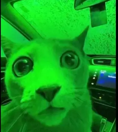 Profile image of Green