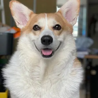 Profile image of 베리