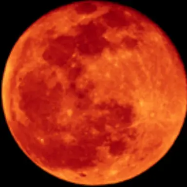 Profile image of 曽野舜太