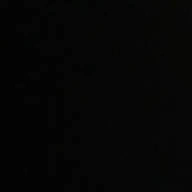 Profile image of 미도.