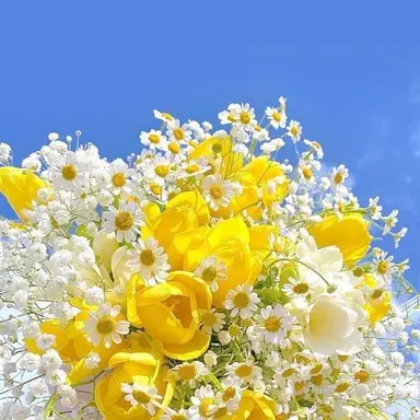 Profile image of 쪼만